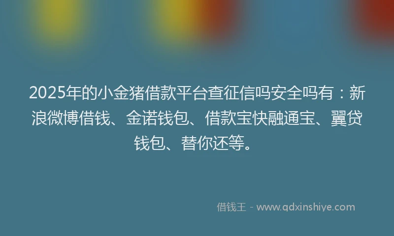 2025年的小金猪借款平台查征信吗安全吗有：新浪微博借钱、金诺钱包、借款宝快融通宝、翼贷钱包、替你还等。