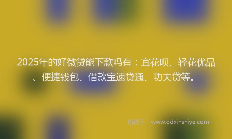 2025年的好微贷能下款吗有：宜花呗、轻花优品、便捷钱包、借款宝速贷通、功夫贷等。