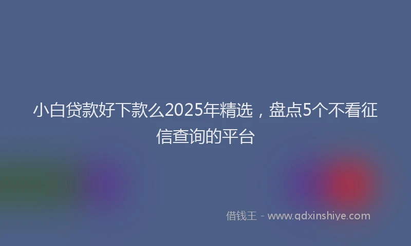小白贷款好下款么2025年精选，盘点5个不看征信查询的平台