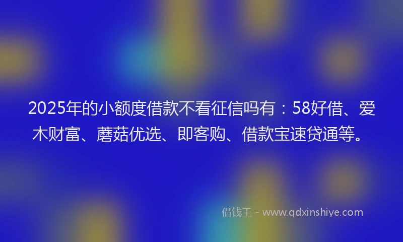 2025年的小额度借款不看征信吗有：58好借、爱木财富、蘑菇优选、即客购、借款宝速贷通等。