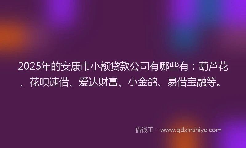 2025年的安康市小额贷款公司有哪些有：葫芦花、花呗速借、爱达财富、小金鸽、易借宝融等。