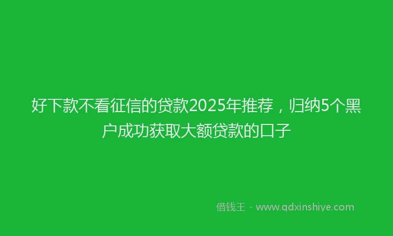 好下款不看征信的贷款2025年推荐，归纳5个黑户成功获取大额贷款的口子