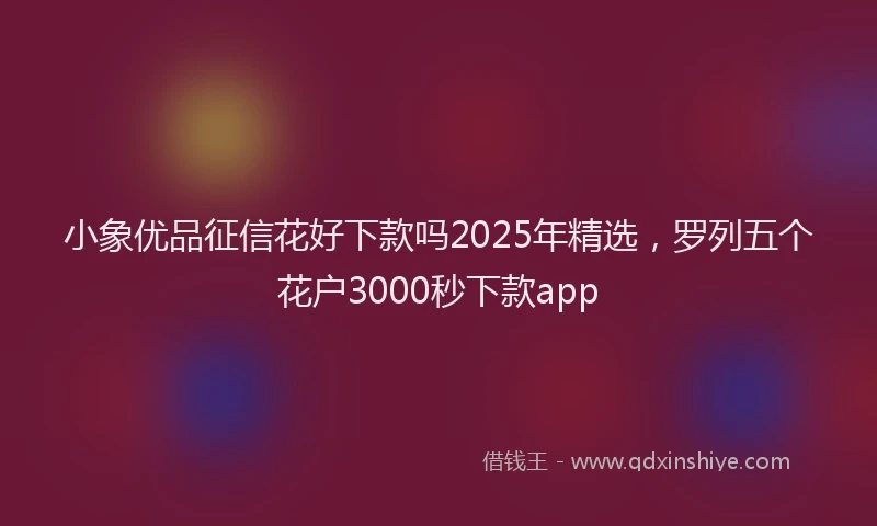 小象优品征信花好下款吗2025年精选，罗列五个花户3000秒下款app
