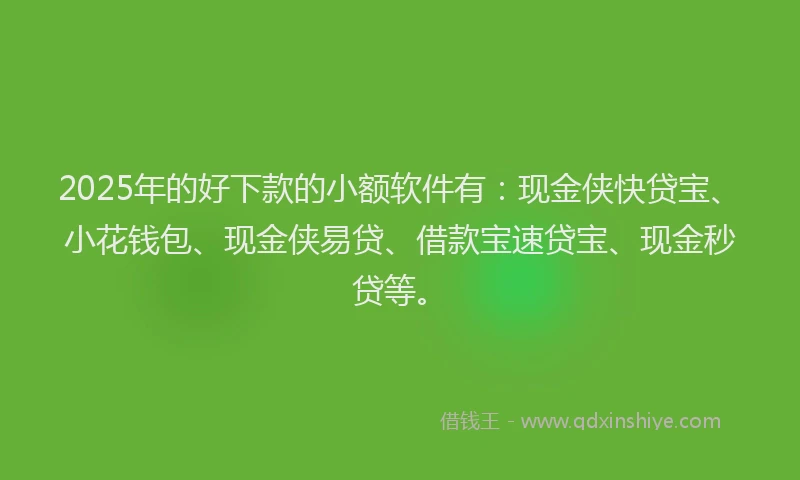 2025年的好下款的小额软件有：现金侠快贷宝、小花钱包、现金侠易贷、借款宝速贷宝、现金秒贷等。