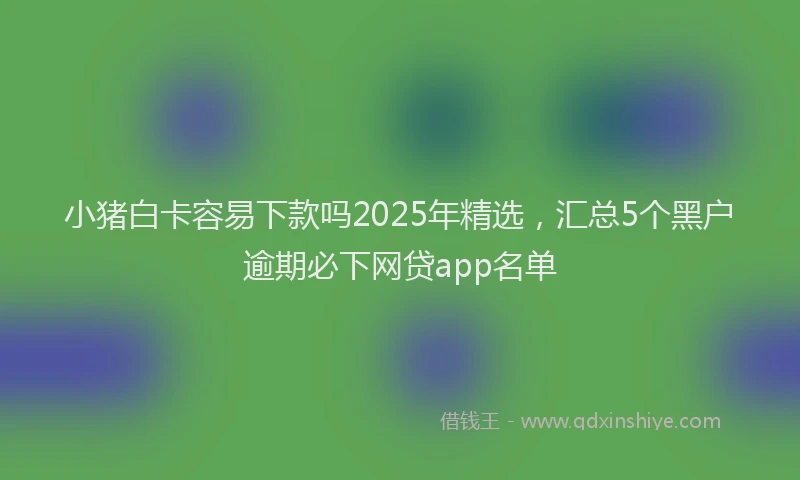 小猪白卡容易下款吗2025年精选，汇总5个黑户逾期必下网贷app名单