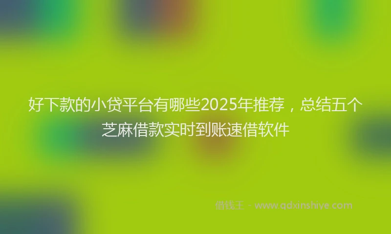 好下款的小贷平台有哪些2025年推荐，总结五个芝麻借款实时到账速借软件