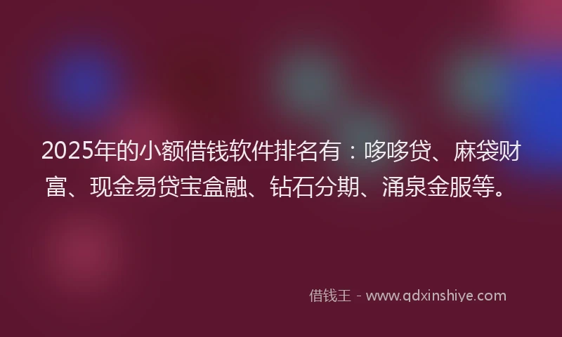 2025年的小额借钱软件排名有：哆哆贷、麻袋财富、现金易贷宝盒融、钻石分期、涌泉金服等。