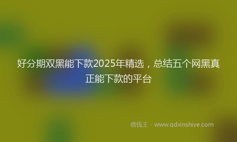 好分期双黑能下款2025年精选，总结五个网黑真正能下款的平台