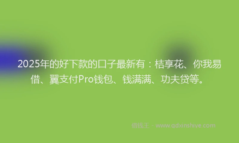 2025年的好下款的口子最新有：桔享花、你我易借、翼支付Pro钱包、钱满满、功夫贷等。