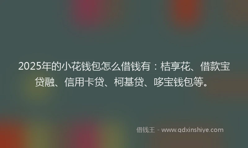 2025年的小花钱包怎么借钱有：桔享花、借款宝贷融、信用卡贷、柯基贷、哆宝钱包等。