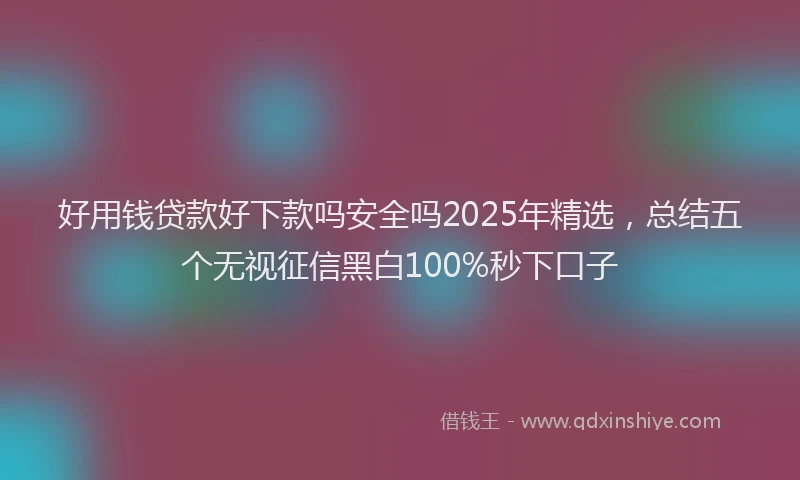 好用钱贷款好下款吗安全吗2025年精选，总结五个无视征信黑白100%秒下口子
