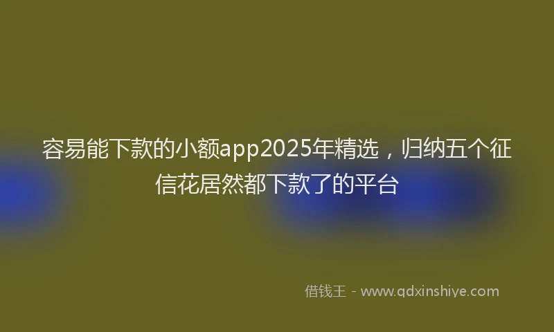 容易能下款的小额app2025年精选，归纳五个征信花居然都下款了的平台