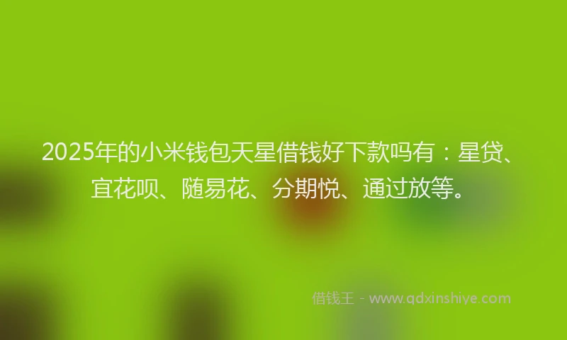 2025年的小米钱包天星借钱好下款吗有：星贷、宜花呗、随易花、分期悦、通过放等。