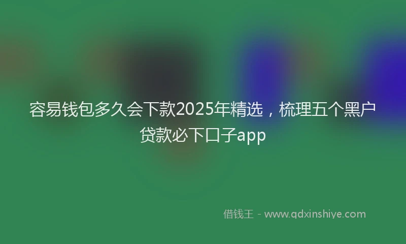 容易钱包多久会下款2025年精选，梳理五个黑户贷款必下口子app