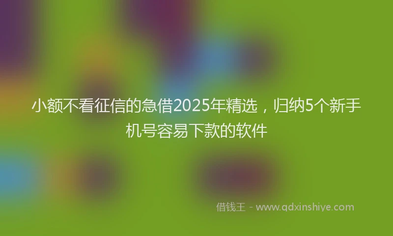 小额不看征信的急借2025年精选，归纳5个新手机号容易下款的软件