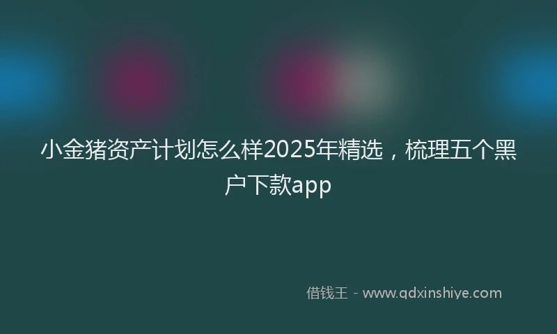 小金猪资产计划怎么样2025年精选，梳理五个黑户下款app