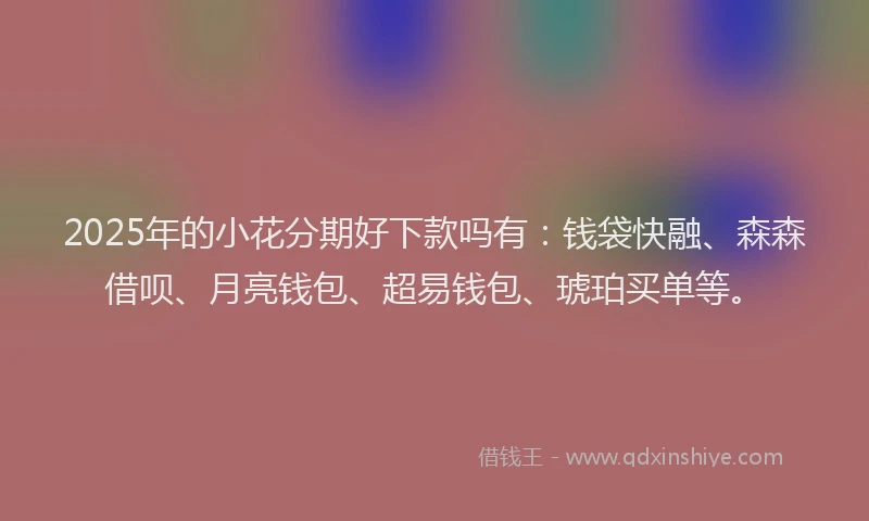 2025年的小花分期好下款吗有：钱袋快融、森森借呗、月亮钱包、超易钱包、琥珀买单等。