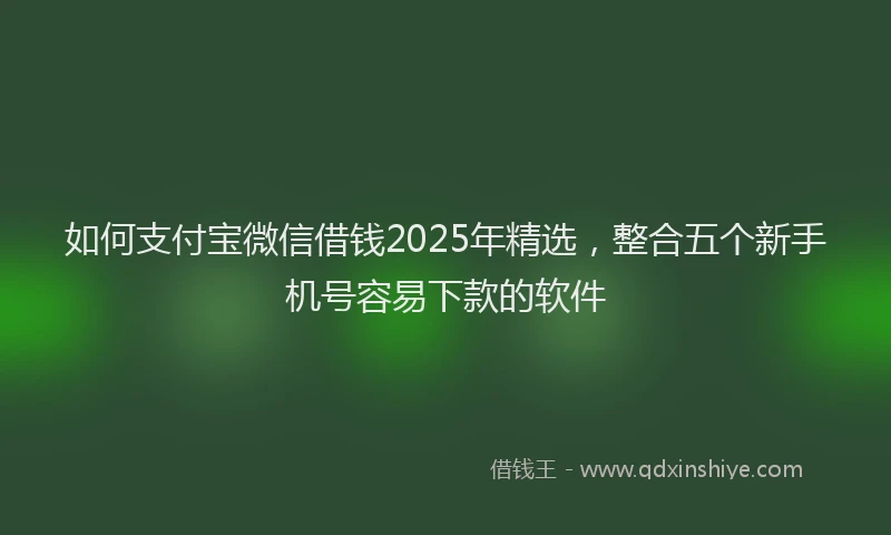 如何支付宝微信借钱2025年精选，整合五个新手机号容易下款的软件