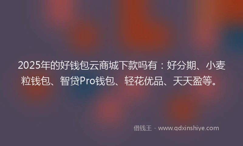 2025年的好钱包云商城下款吗有：好分期、小麦粒钱包、智贷Pro钱包、轻花优品、天天盈等。