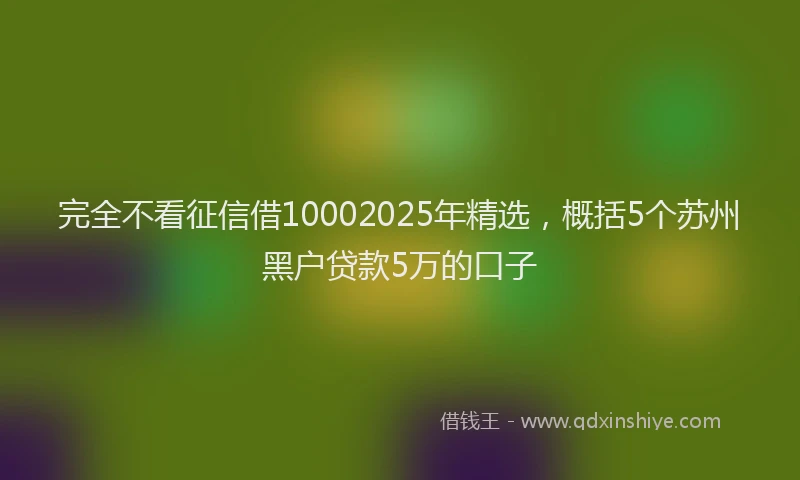 完全不看征信借10002025年精选，概括5个苏州黑户贷款5万的口子