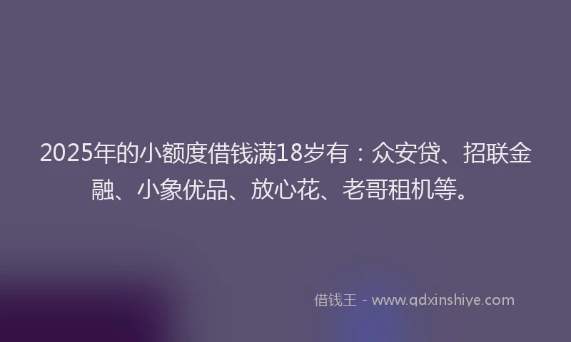 2025年的小额度借钱满18岁有：众安贷、招联金融、小象优品、放心花、老哥租机等。
