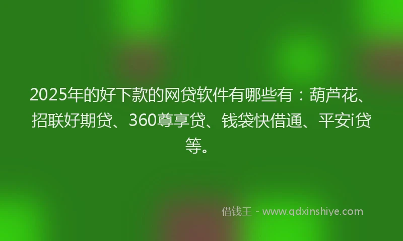 2025年的好下款的网贷软件有哪些有：葫芦花、招联好期贷、360尊享贷、钱袋快借通、平安i贷等。