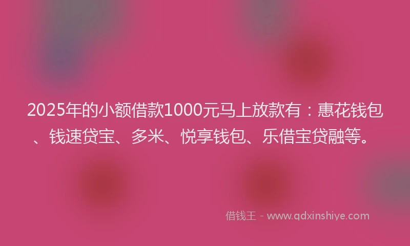 2025年的小额借款1000元马上放款有：惠花钱包、钱速贷宝、多米、悦享钱包、乐借宝贷融等。