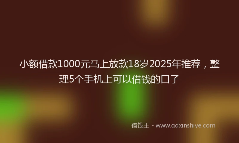 小额借款1000元马上放款18岁2025年推荐，整理5个手机上可以借钱的口子