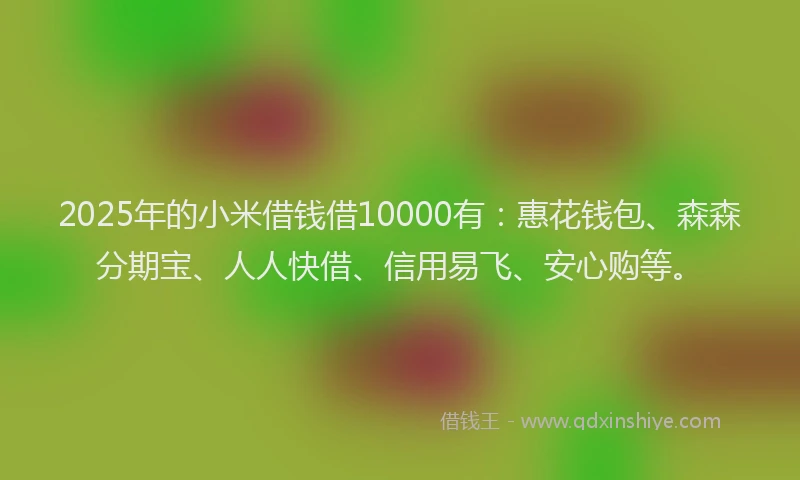 2025年的小米借钱借10000有：惠花钱包、森森分期宝、人人快借、信用易飞、安心购等。