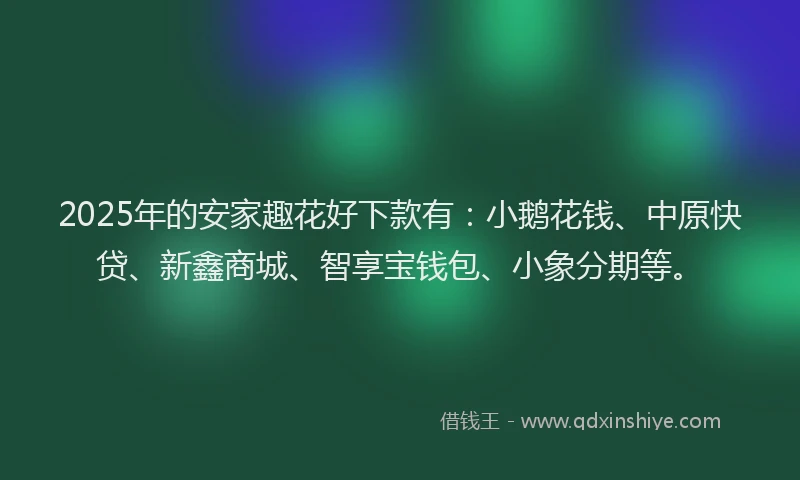 2025年的安家趣花好下款有：小鹅花钱、中原快贷、新鑫商城、智享宝钱包、小象分期等。