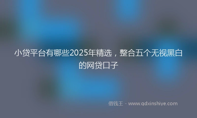小贷平台有哪些2025年精选，整合五个无视黑白的网贷口子