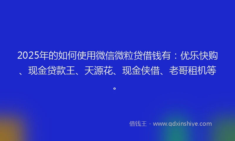 2025年的如何使用微信微粒贷借钱有：优乐快购、现金贷款王、天源花、现金侠借、老哥租机等。