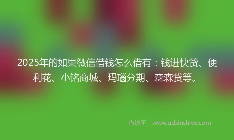 2025年的如果微信借钱怎么借有：钱进快贷、便利花、小铭商城、玛瑙分期、森森贷等。