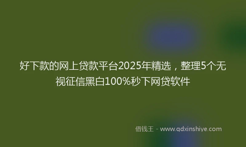 好下款的网上贷款平台2025年精选，整理5个无视征信黑白100%秒下网贷软件