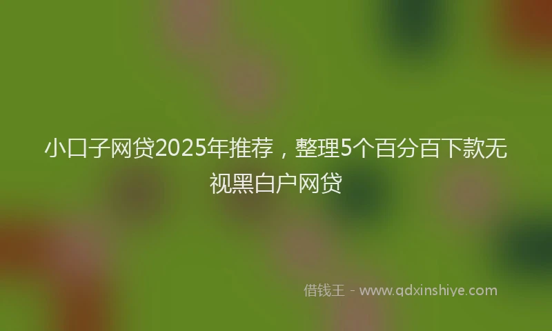 小口子网贷2025年推荐，整理5个百分百下款无视黑白户网贷