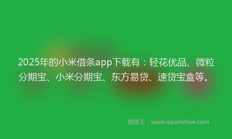 2025年的小米借条app下载有：轻花优品、微粒分期宝、小米分期宝、东方易贷、速贷宝盒等。