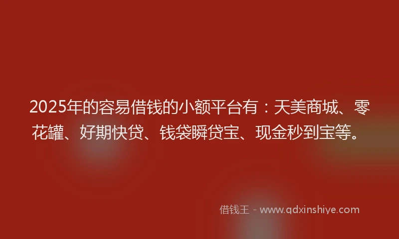 2025年的容易借钱的小额平台有：天美商城、零花罐、好期快贷、钱袋瞬贷宝、现金秒到宝等。