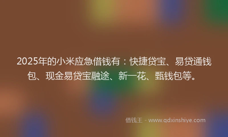 2025年的小米应急借钱有：快捷贷宝、易贷通钱包、现金易贷宝融途、新一花、甄钱包等。