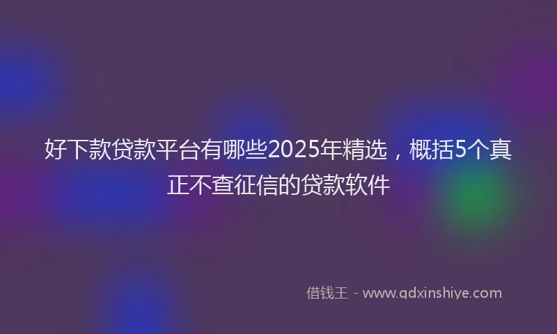 好下款贷款平台有哪些2025年精选，概括5个真正不查征信的贷款软件