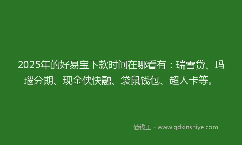 2025年的好易宝下款时间在哪看有：瑞雪贷、玛瑙分期、现金侠快融、袋鼠钱包、超人卡等。