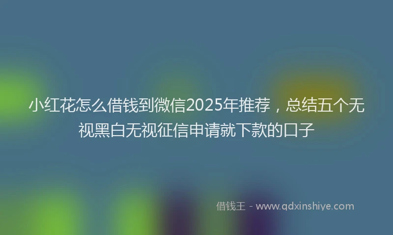 小红花怎么借钱到微信2025年推荐，总结五个无视黑白无视征信申请就下款的口子