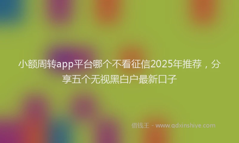 小额周转app平台哪个不看征信2025年推荐，分享五个无视黑白户最新口子