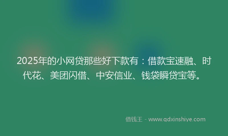 2025年的小网贷那些好下款有：借款宝速融、时代花、美团闪借、中安信业、钱袋瞬贷宝等。