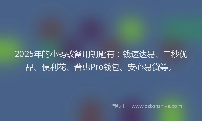2025年的小蚂蚁备用钥匙有:钱速达易、三秒优品、便利花、普惠Pro钱包、安心易贷等。