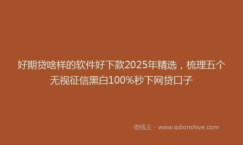 好期贷啥样的软件好下款2025年精选，梳理五个无视征信黑白100%秒下网贷口子