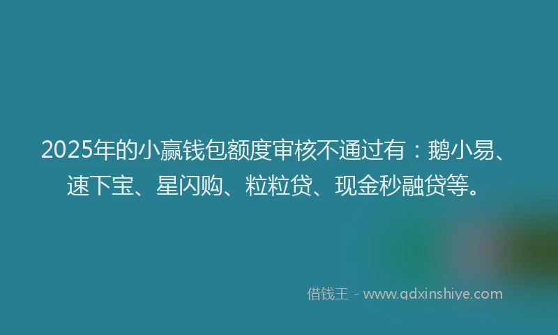 2025年的小赢钱包额度审核不通过有：鹅小易、速下宝、星闪购、粒粒贷、现金秒融贷等。