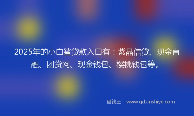 2025年的小白鲨贷款入口有：紫晶信贷、现金直融、团贷网、现金钱包、樱桃钱包等。