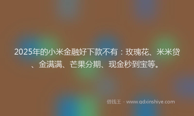 2025年的小米金融好下款不有：玫瑰花、米米贷、金满满、芒果分期、现金秒到宝等。