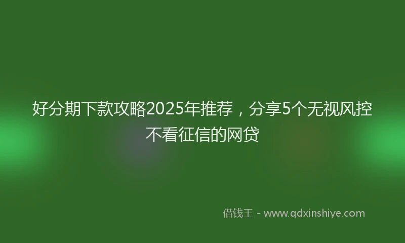 好分期下款攻略2025年推荐，分享5个无视风控不看征信的网贷