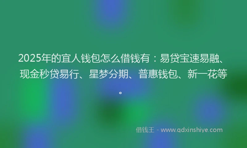 2025年的宜人钱包怎么借钱有：易贷宝速易融、现金秒贷易行、星梦分期、普惠钱包、新一花等。
